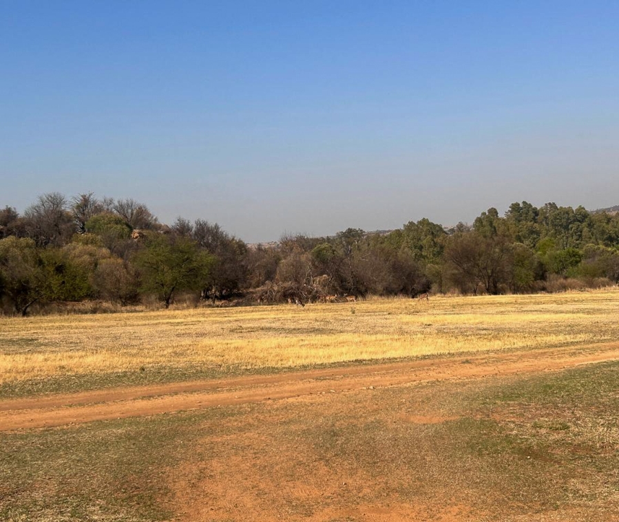 0 Bedroom Property for Sale in Parys Free State